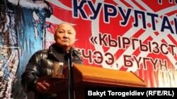 Бішкектің бұрынғы мэрі Нариман Түлеев.