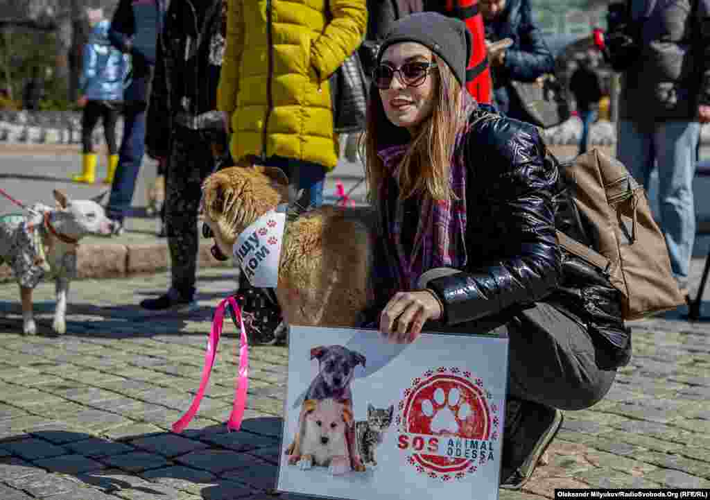 &laquo;Animal SOS Одесса&raquo; &ndash; одна из волонтерских групп помощи бездомным животным