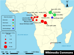 Карта случаев заболевания лихорадкой Эбола в Африке с 1979 по 2008 год. Западную Африку до сих пор болезнь обходила