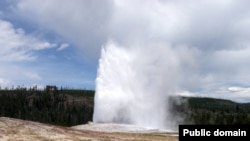 Горячий гейзер в национальном парке Йелоустоун (Yellowstone National Park). При температуре 60 градусов на раскаленной почве рядом с гейзером растет трава. Эта трава заражена специальным вирусом. Именно этот вирус делает растение термостойким.