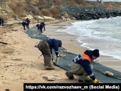 Представители российской спасательной службы Севастополя устанавливают на побережье препятствия для мазута, вылившегося из российских танкеров, 17 января 2025 года