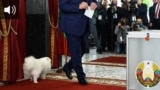 teaser Lukashenko's dog Umka 