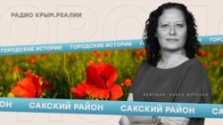 «У Крыма на краю». Интервью с Эльвиной Сеитбуллаевой | Радио Крым.Реалии